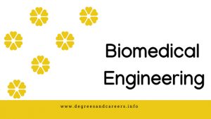 biomedical engineering