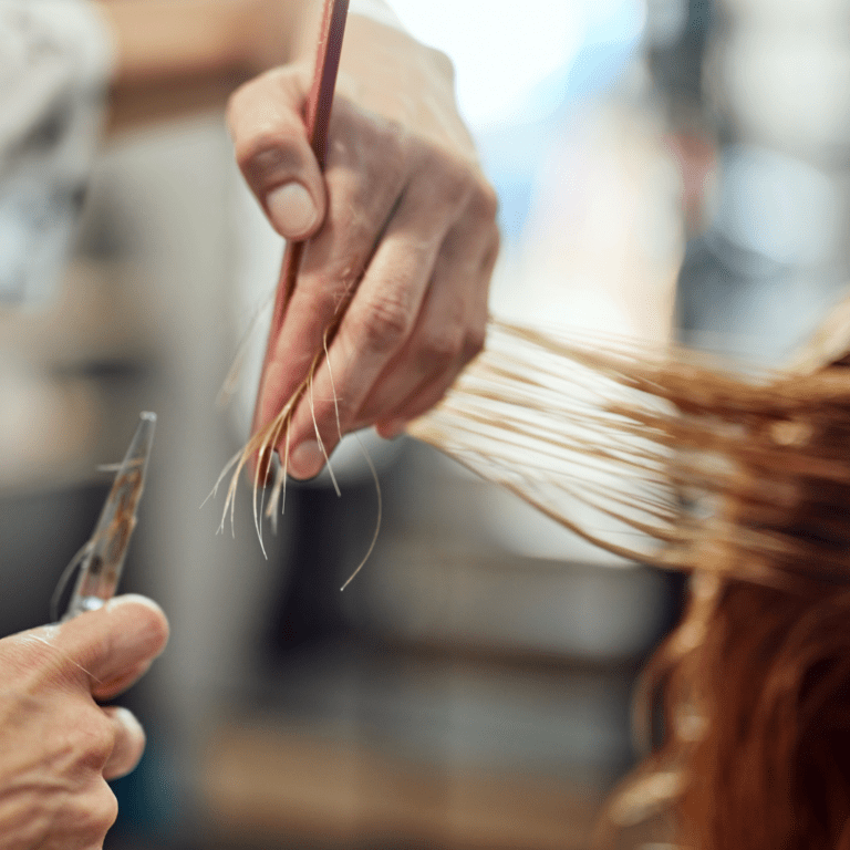 Top 15 Universities In Canada To Study Cosmetology Degrees Careers